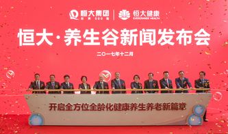 恒大養生谷建國際一流 醫聯體 租購旅 并舉普惠民生